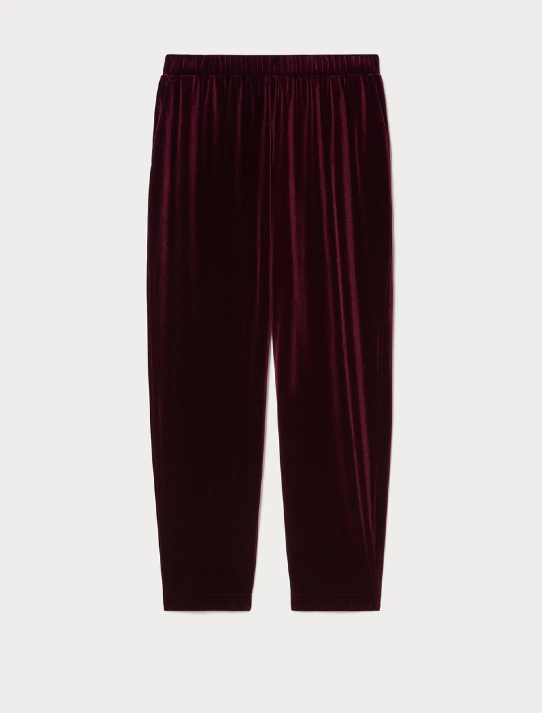 Pantaloni in jersey di velluto - BORDEAUX